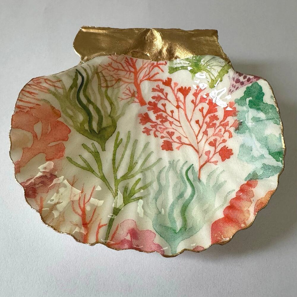 Coral Reef Seashell Trinket Dish Decor - Picture 2 of 5